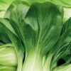 Cabbage Pak Choi