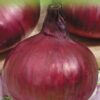 Onion Red Baron