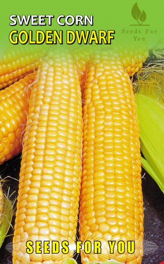 Sweet Corn Golden Dwarf - Seeds For You