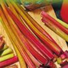 Swiss chard Multicolour mix