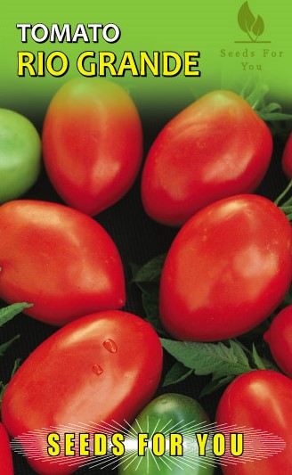 safari seeds tomato rio grande